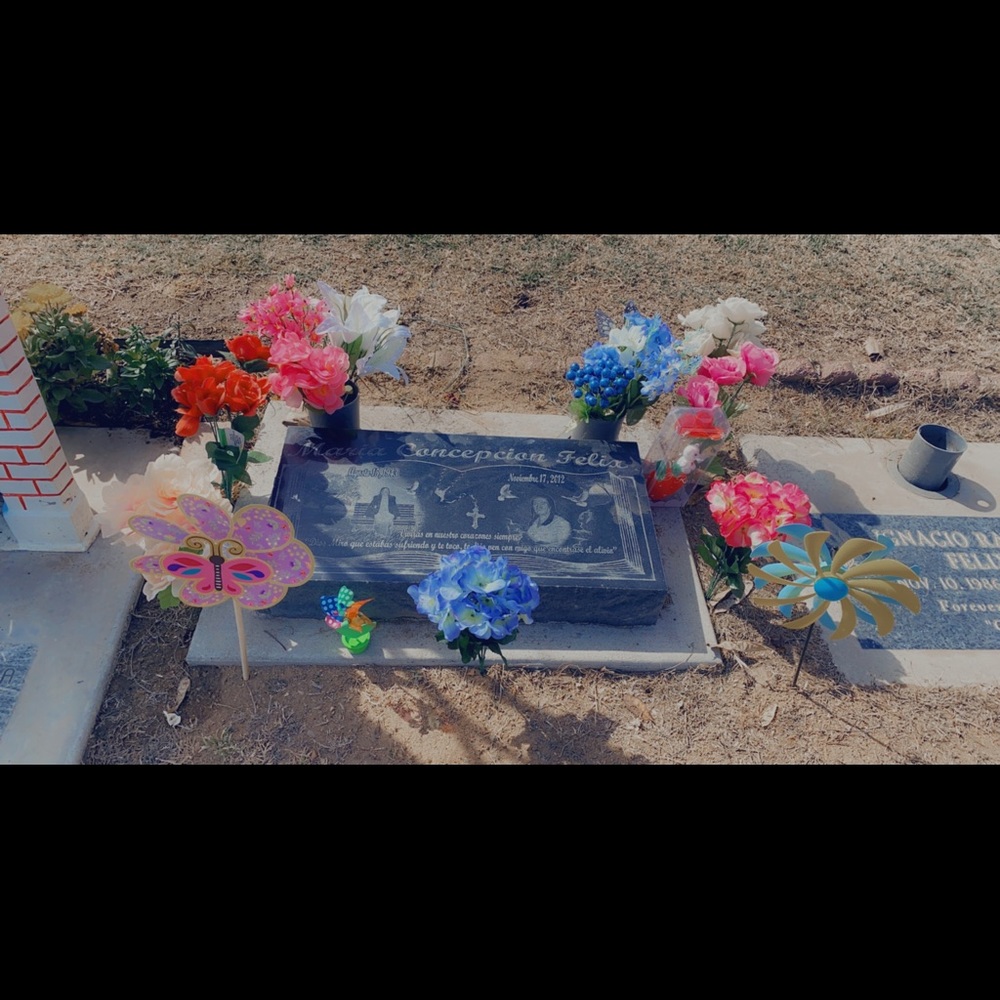 Meet your Posher, Jose